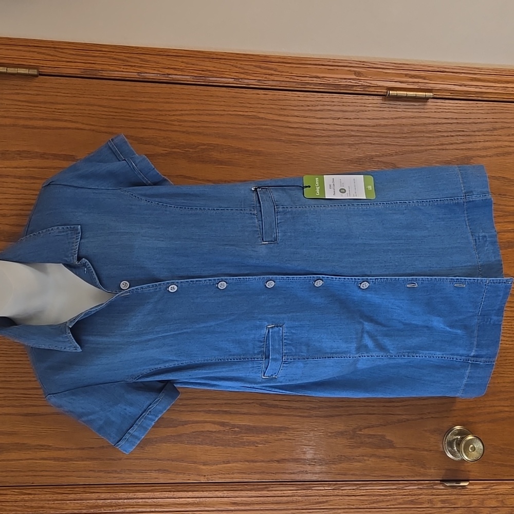 Cabi Style #6580 Piece Of Cake Dress